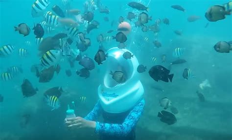 Underwater Sea Walk Mauritius Undersea Walk Mauritius