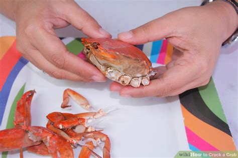 How To Crack A Crab 8 Steps With Pictures Wikihow