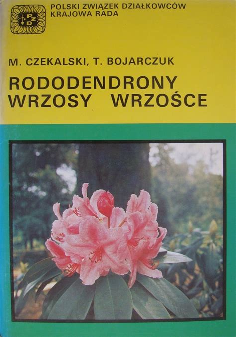 Rododendrony wrzosy wrzośce M Czekalski Limanowa Kup teraz na