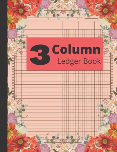 Colomn Ledger Book Accounting Journal Entry Book Accounting Journal