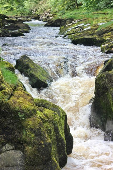 Strid, River Wharfe, Bolton Abbey | The Culture Map