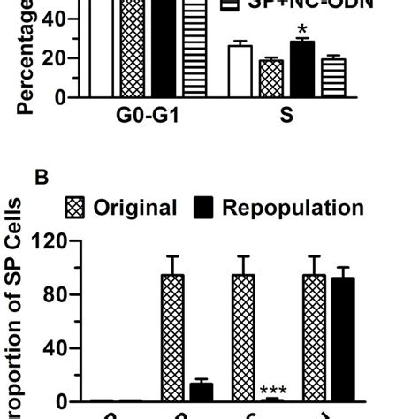 Cell Cycle Characteristics And Differentiation Ability Of Panc 1 Sp And