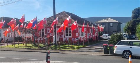 When you really love the Tongan flag : vexillology