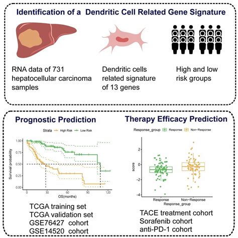 Journal Of Hepatocellular Carcinoma Volume 11 Dove Press