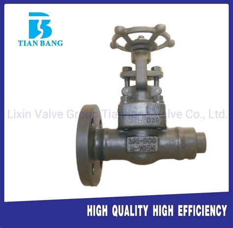 Forged Steel Bolt Bonnet Flange Socket Weld Pilot Drain Gate Valve