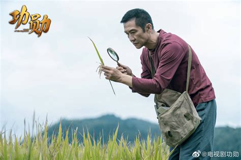 一稻济天下，《功勋》之《袁隆平的梦》今晚压轴登场，黄志忠主演