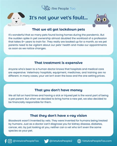 It's not your vet's fault: 4 things pet owners unfairly hate on