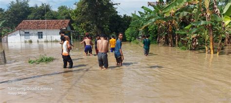 Sungai Di Jatibarang Meluap Ratusan Rumah Dan Puluhan Hektare Sawah