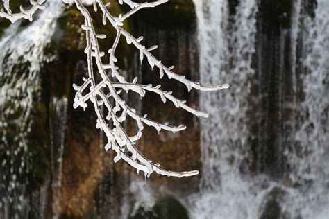 Kostenlose Foto Baum Wasser Natur Ast Schnee Winter Blatt