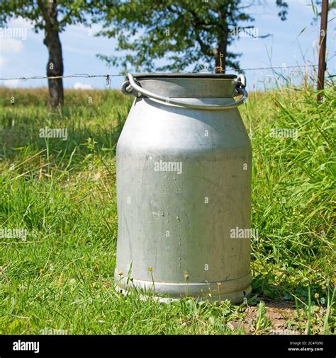 Aluminum Milk Jug In Agriculture Stock Photo Alamy