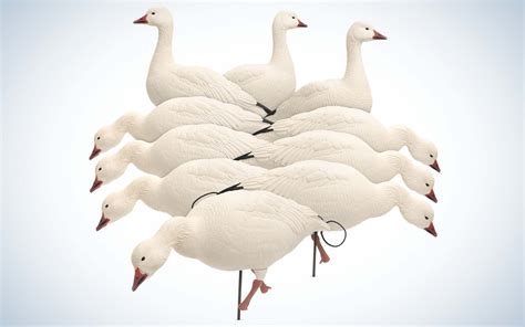 Best Snow Goose Decoys of 2022 | Outdoor Life