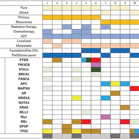 Landscape Of Genomic Alterations In 12 Patients With Ductal Download Scientific Diagram