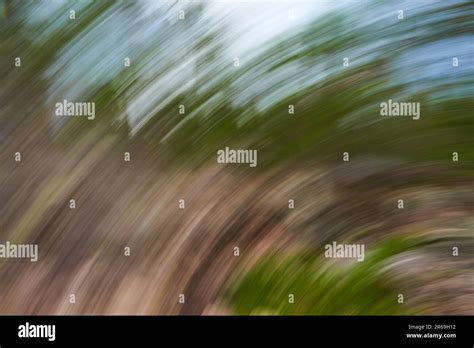 An Abstract Picture At Low Shutter Speed Of A Forest In Summer Time