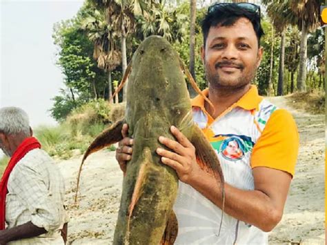 Big Rare Fish মানুষের চেয়েও লম্বা দৈর্ঘ্য দানবের মতো দেখতে এই মাছ