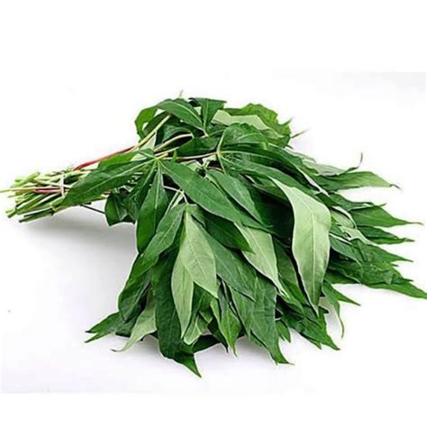 Jual Sayur Daun Ubi Singkong Ikat Sayur Segar Shopee Indonesia