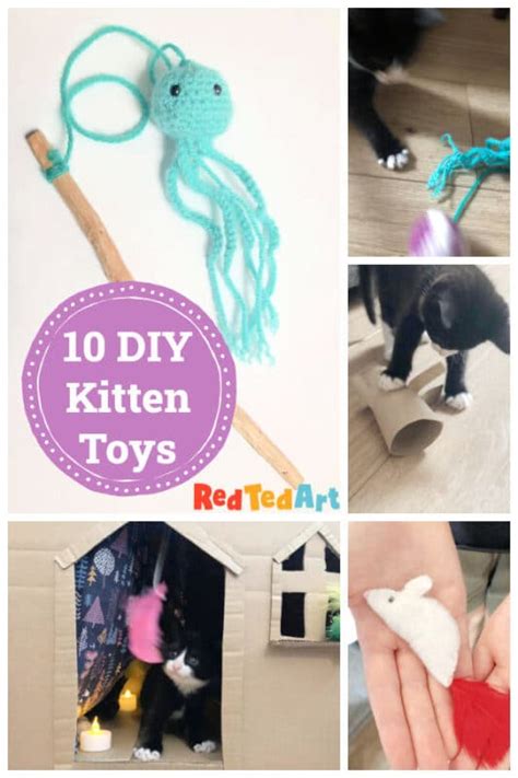 10 great & easy DIY Cat Toys your Kitten will ADORE! - Red Ted Art ...