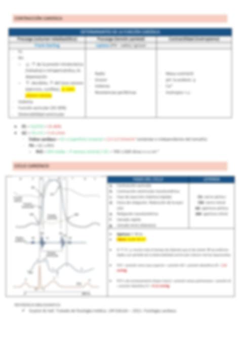 Solution Fisiologia Cardiaca Sistema De Conduccion Exitabilidad