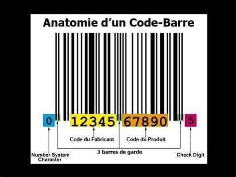 A Quoi Servent Les Codes Barres Caille Sa