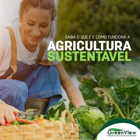 Saiba O Que E Como Funciona A Agricultura Sustent Vel