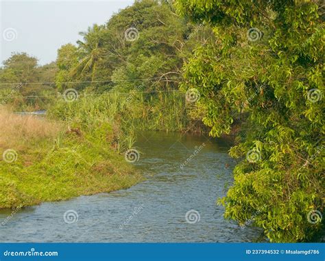 River Flowing at Balmuri Waterfalls Near Mysore. Stock Photo - Image of ...