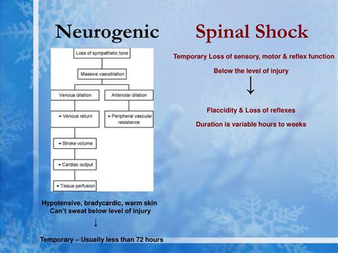 Ppt Spine Trauma Powerpoint Presentation Free Download Id3196477