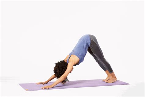 Elegant Open Lizard Pose Yoga X Poses