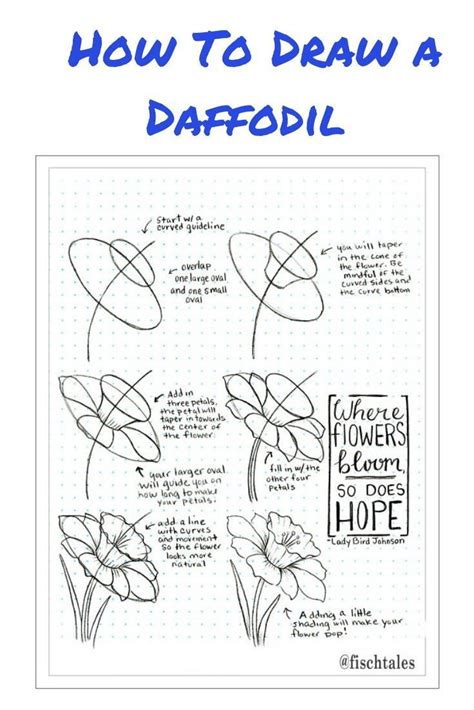 How To Draw A Daffodil Flower