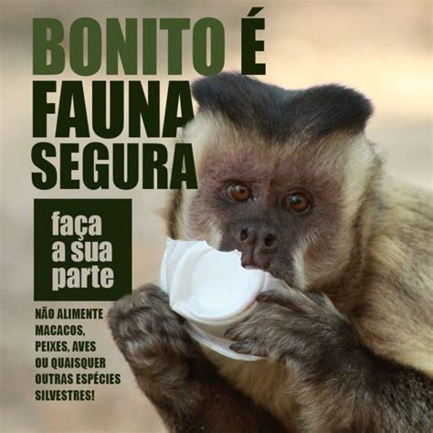 Em Dia Nacional De Defesa Da Fauna Sema Alerta Para Riscos Em