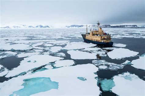 Arctic Ice Disappearing Faster Than Expected Alarming Scientists