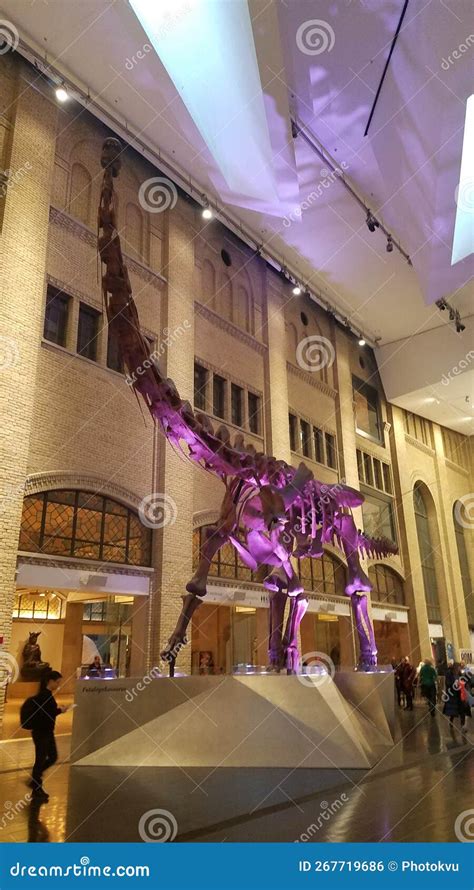 Exhibition of Dinosaur Skeletons in Royal Ontario Museum Editorial ...