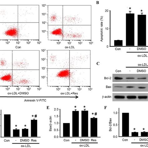 Res Attenuates Oxldlinduced Apoptosis Of Huvecs Cells Were Incubated