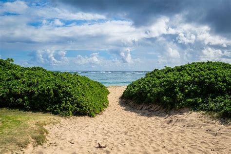 11 Best North Shore Oahu Beaches In Hawaii