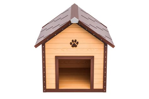 Dog House White Background Stock Photos Pictures And Royalty Free Images