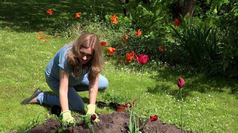 Mujer Embarazada De Los J Venes Que Planta Las Flores En Jard N Almacen