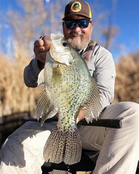 Mn Walleye Limit Debate State Record Crappie New Trolling Motor Design 🤯