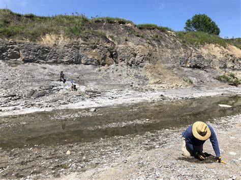 Digging For Fossils In Ladonia Tx Luckey Wanderers