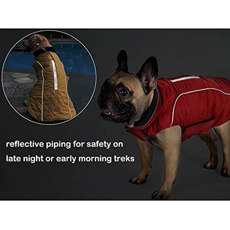 FOREYY Reflective Dog Coats with Leash Harness Best ⋆ PetSep.com