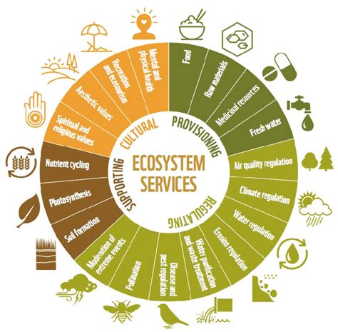 Illustration Of Categories Of Ecosystem Services Reproduced From Wwf