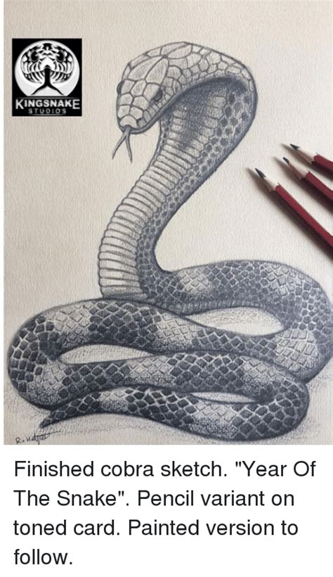 Snake Pencil Sketch at PaintingValley.com | Explore collection of Snake Pencil Sketch