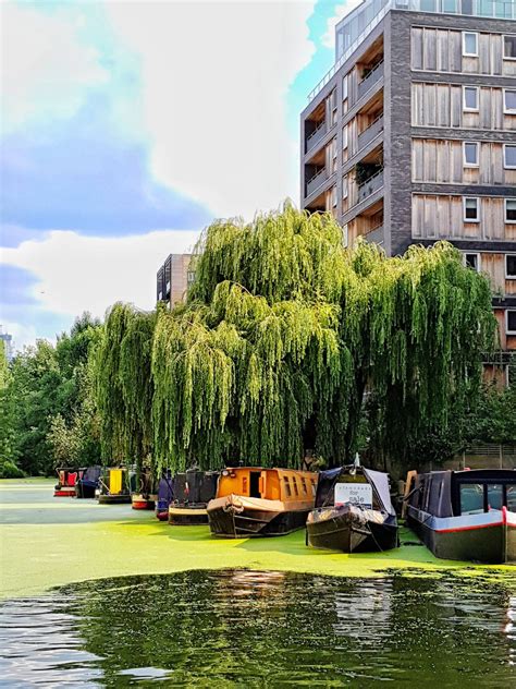 Eight Things To Do During The Summer in London - #travelcolorfully