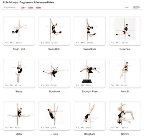 Pole Dance Training Pole Moves Beginners And Intermediates Part 1 Pole Dance Moves Pole