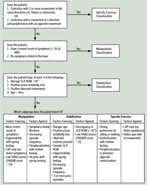 Clinical Prediction Rule The Physical Therapy Guide To Low Back Pain