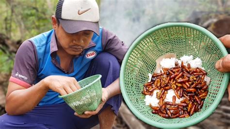 Menikmati Hasil Alam Mencari Dan Memasak Enthung Kepompong Jati Di