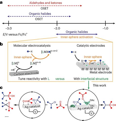 Gr Ce L Lectricit Des Scientifiques D Couvrent Une Nouvelle