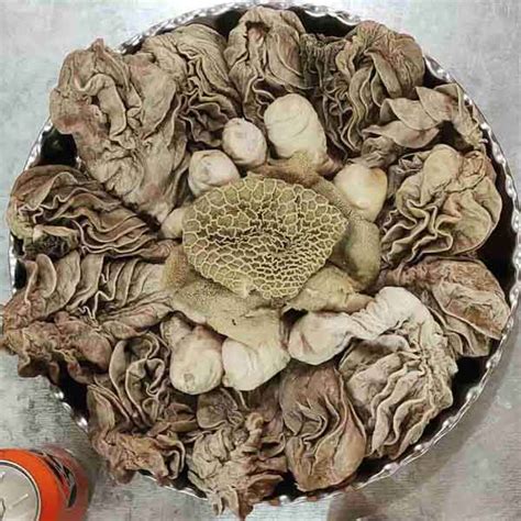 خواص سیرابی برای معده و روده و کبد و لاغری و مو و سرماخوردگی و شیمی ...
