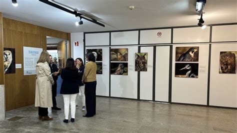 La Exposici N Fotogr Fica Fauna Esencial Exhibe En Cuntis Las