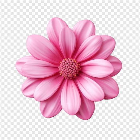 D Flor Rosa Isolada Em Fundo Transparente Psd Gerado Ia