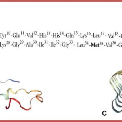 Structure Of Aβ Monomer And Fibrils A The Primary Amino Acid