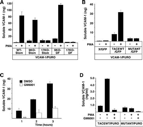 Stimulated Shedding Of Vascular Cell Adhesion Molecule 1 VCAM 1 Is