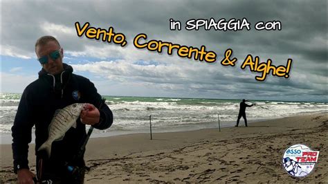 In SPIAGGIA Con Vento Forte Corrente Laterale Alghe PROVIAMOCI